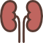 View List of Andrologists in A G