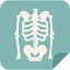 View List of Orthodontists in A G
